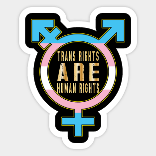 Trans Rights Are Human Rights Sticker